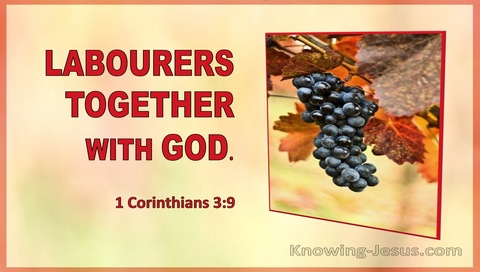 1 Corinthians 3:9 Labourers Together With God (utmost)04:23